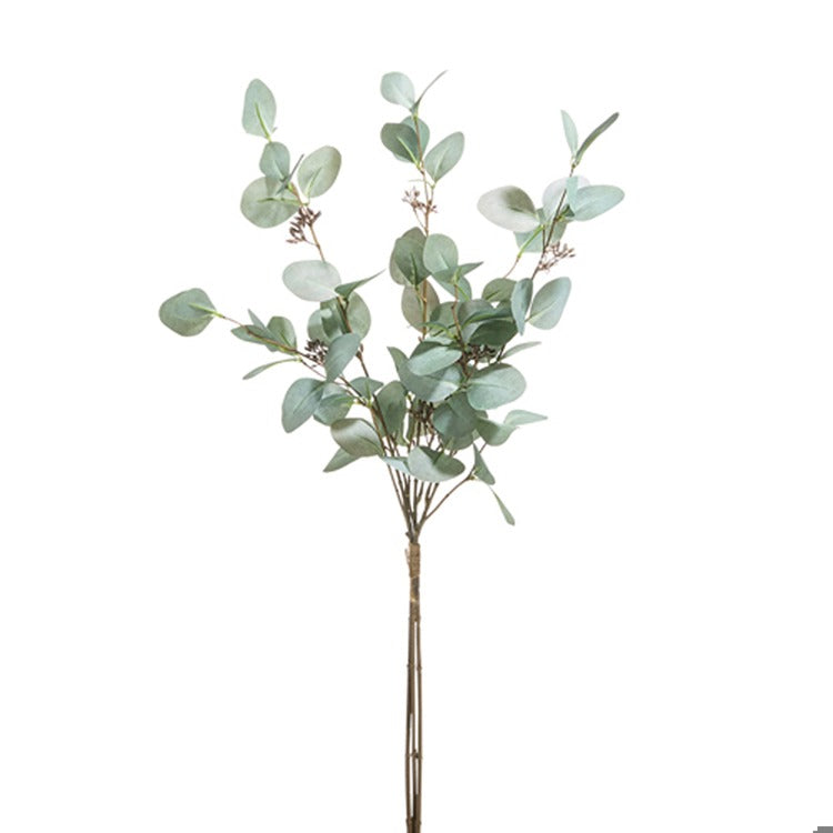 31" Eucalyptus Bundle