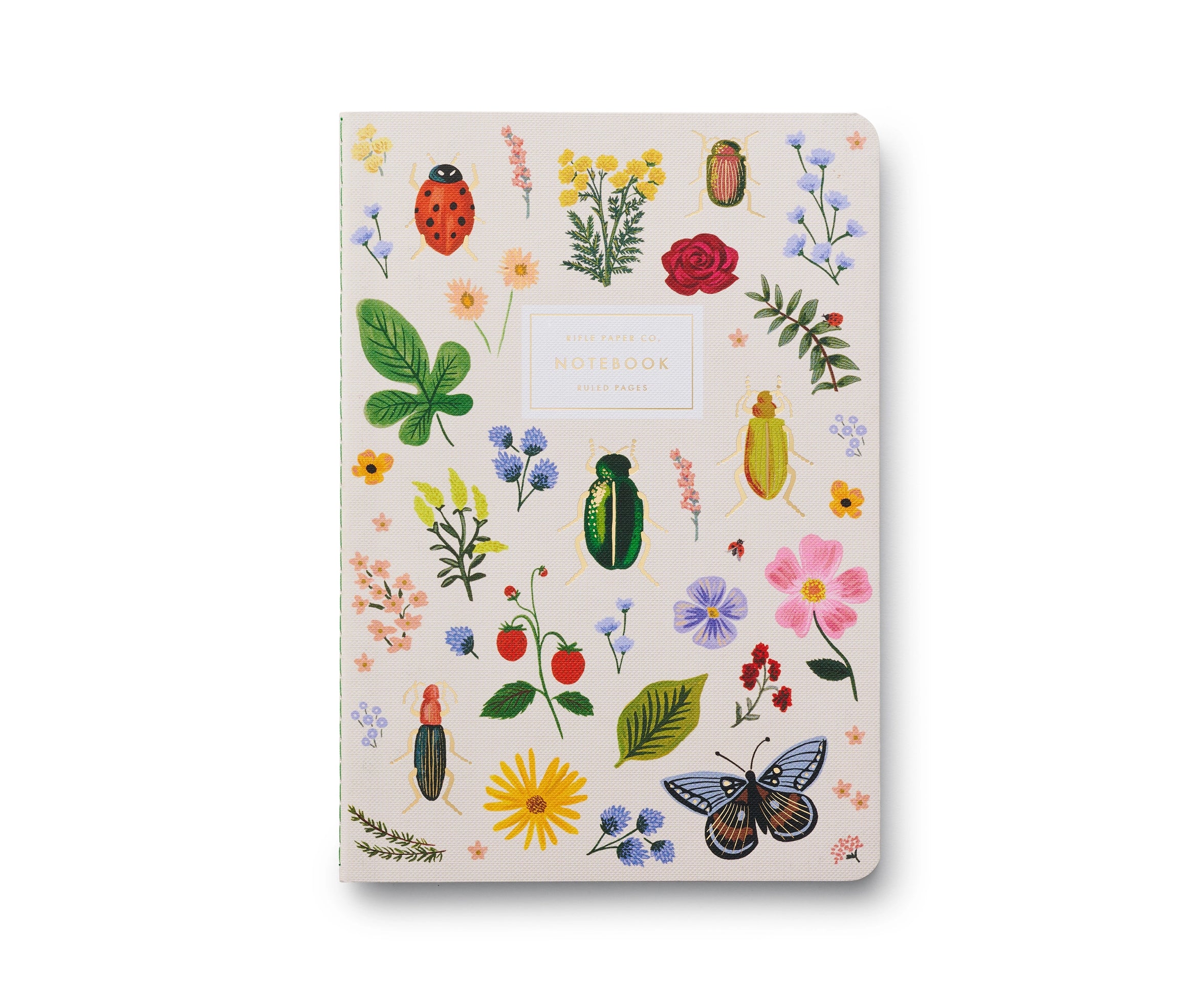 Assorted Curio Notebooks