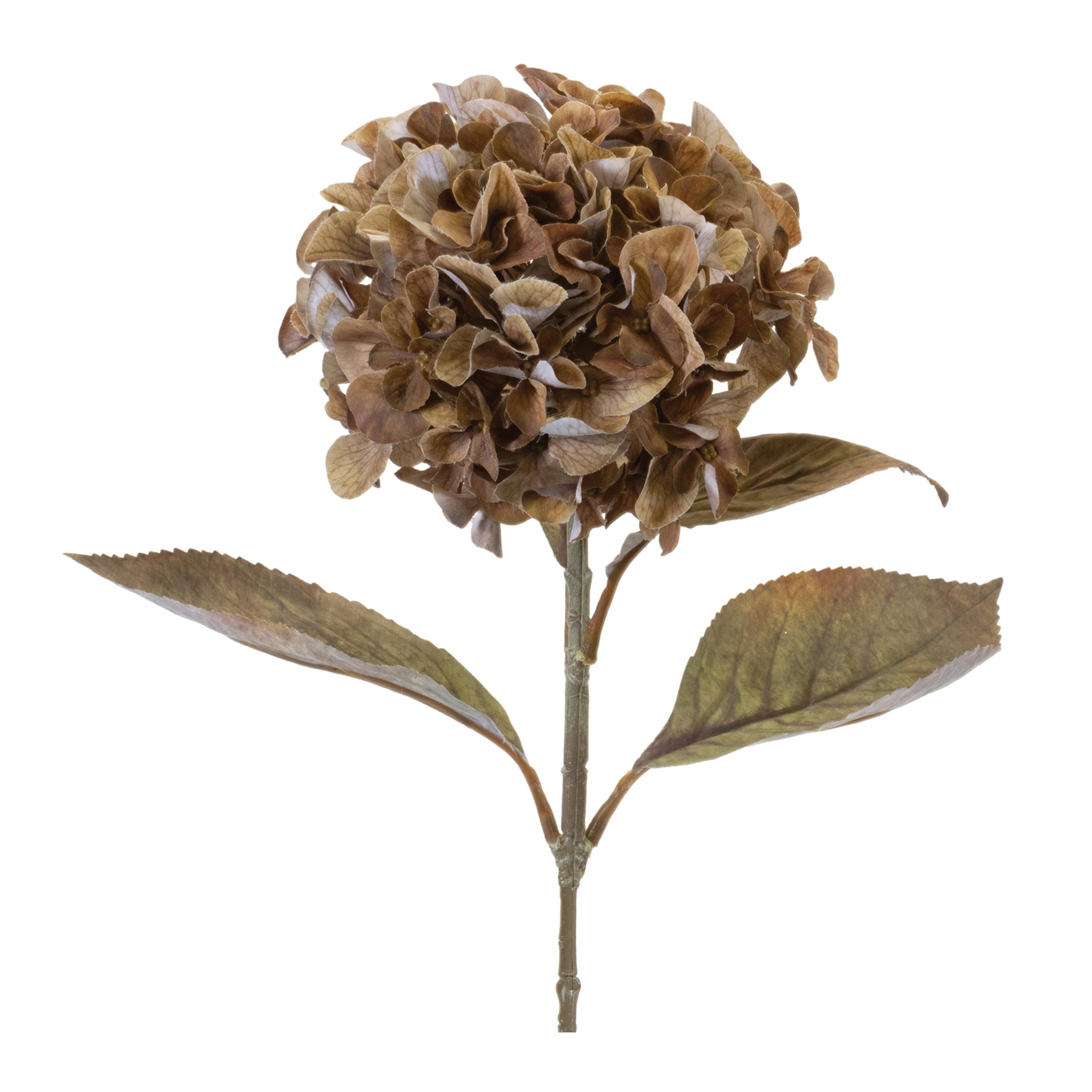 26.5" Dried Hydrangea Stem