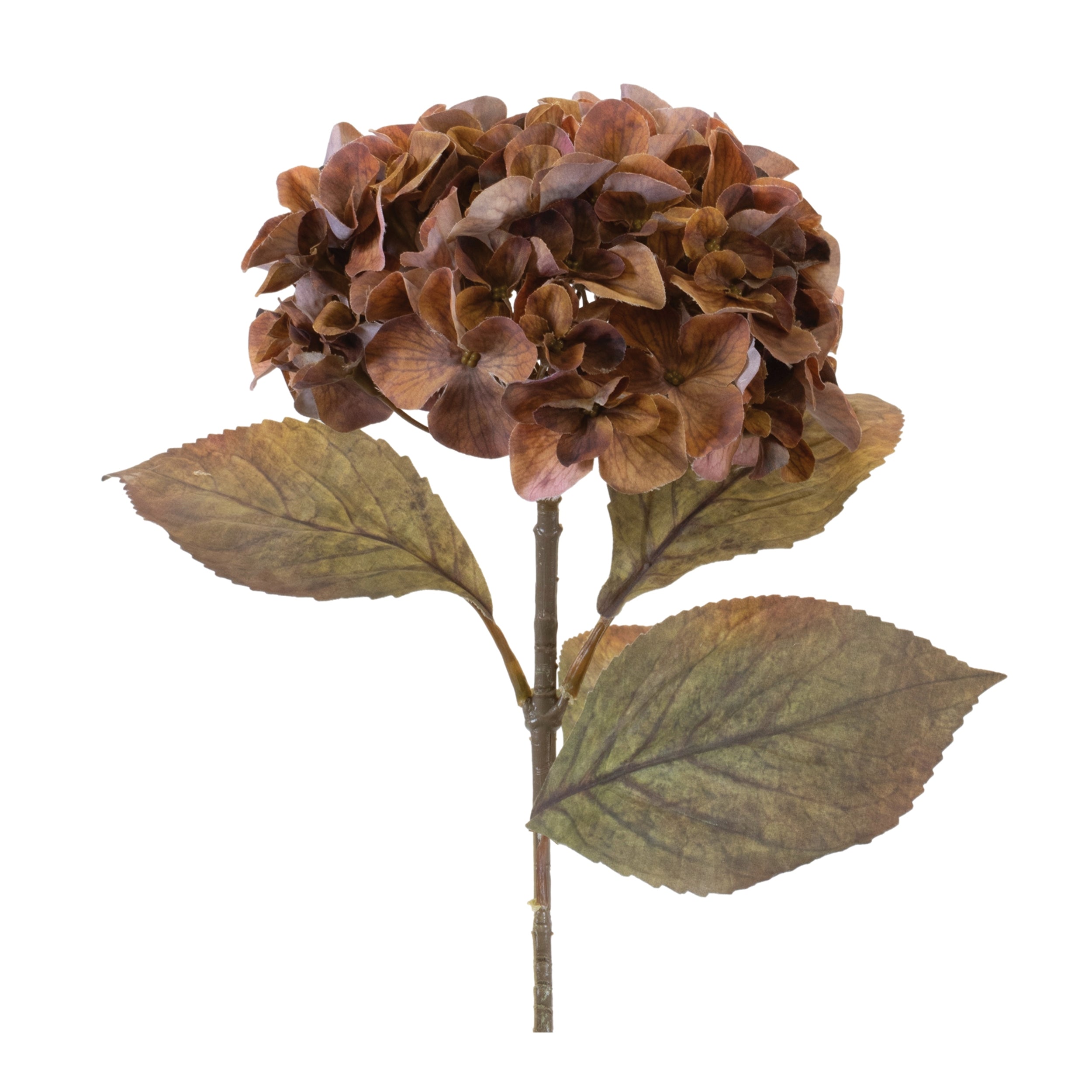 26.5" Dried Hydrangea Stem