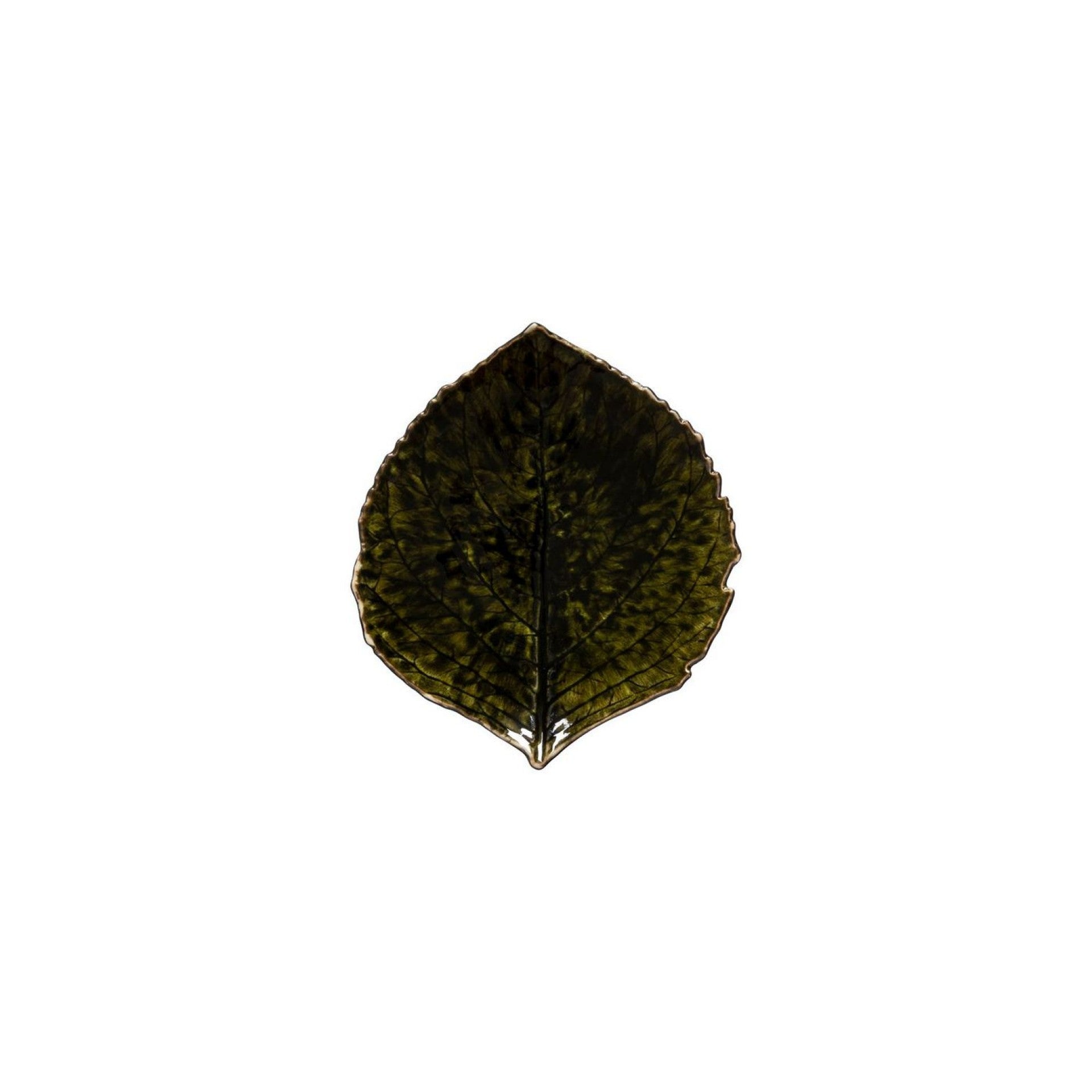 Riviera Hydrangea Leaf