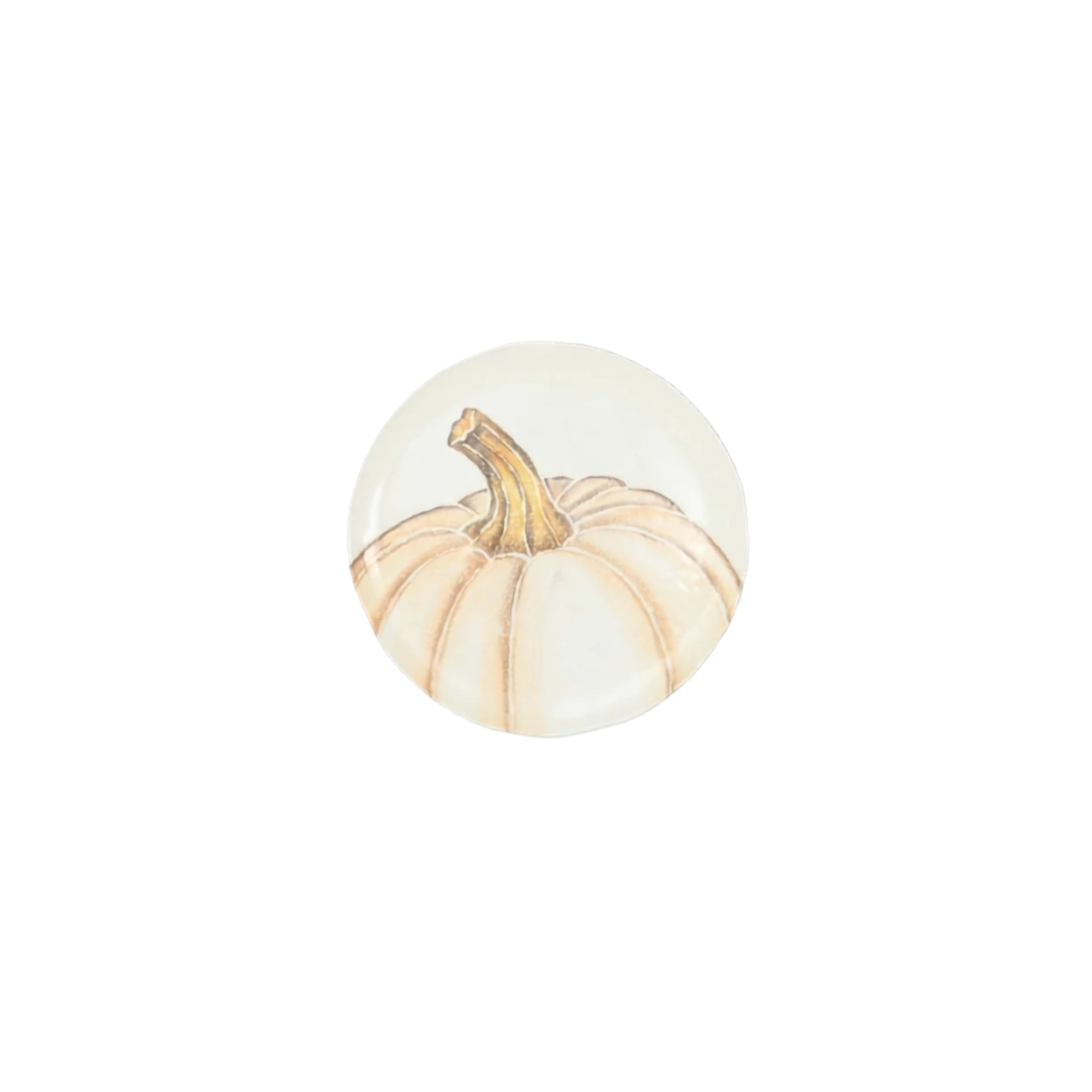 A round glass cabochon featuring a painted illustration of a small cream-colored pumpkin with a tan stem, set against a plain white background.
