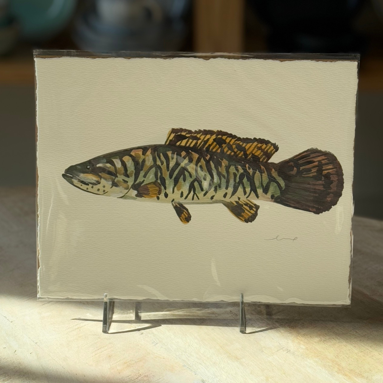 LELLO CO. Large Fish Paintings