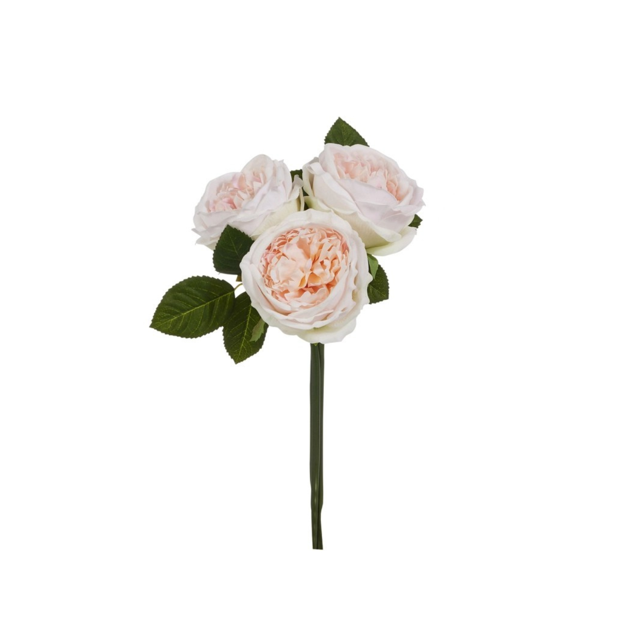 12" English Rose Bundle