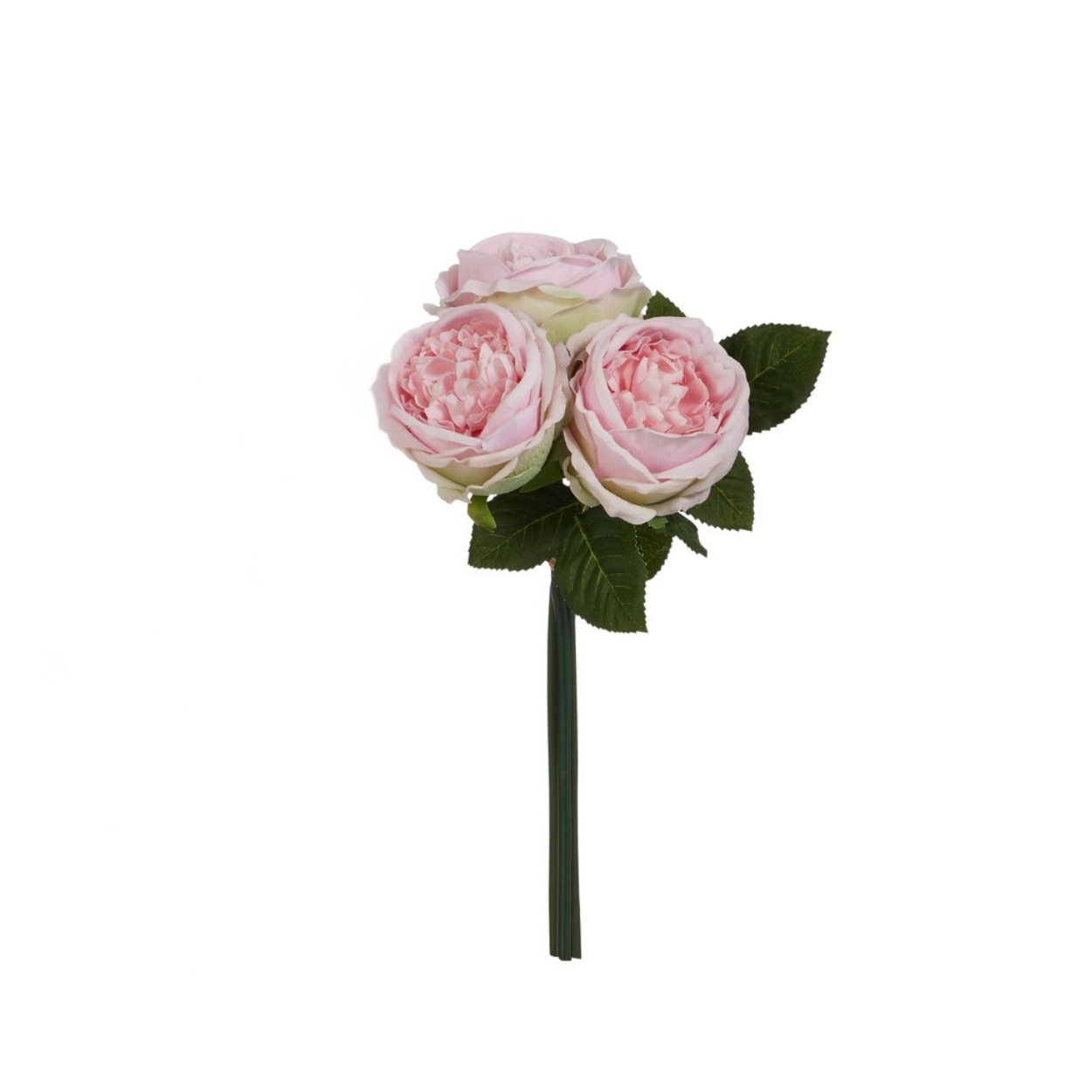 12" English Rose Bundle