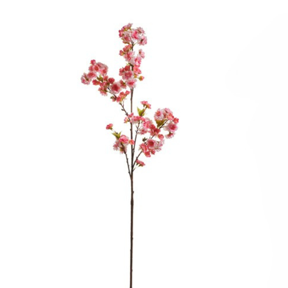 Cherry Blossom Branch