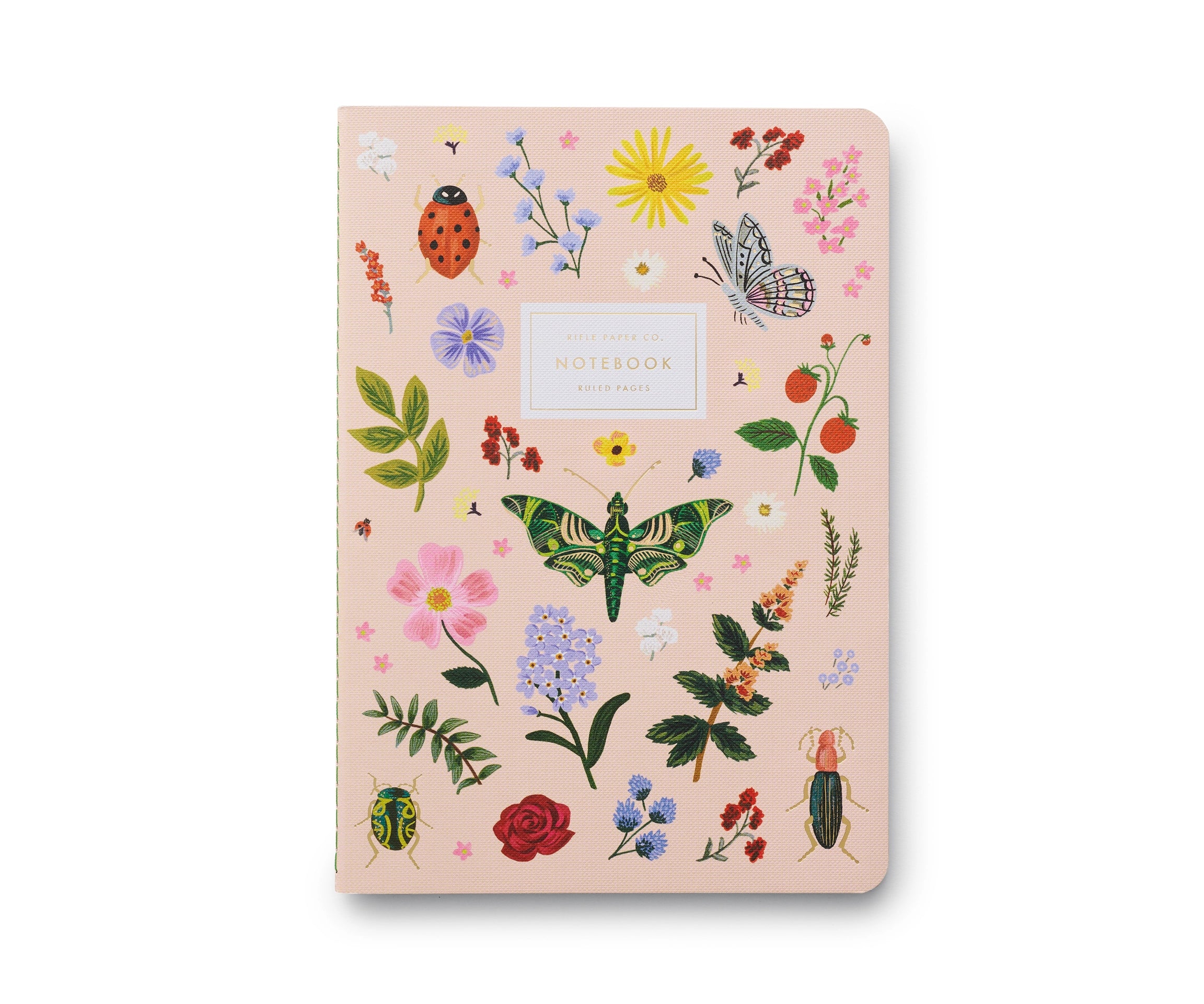 Assorted Curio Notebooks
