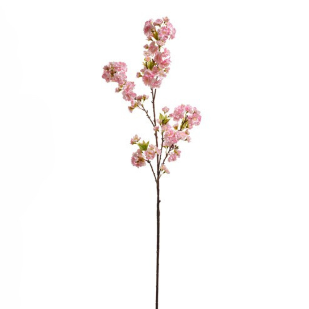 Cherry Blossom Branch