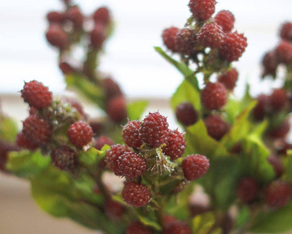 Red Raspberry Stem Artificial Red Raspberry Stem 16.5