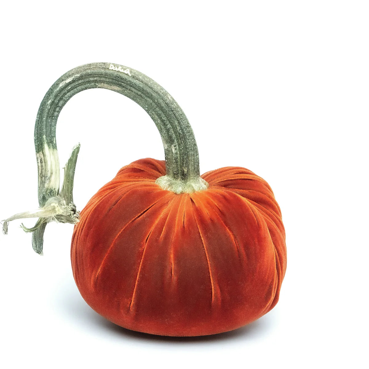 Silk Velvet Pumpkin