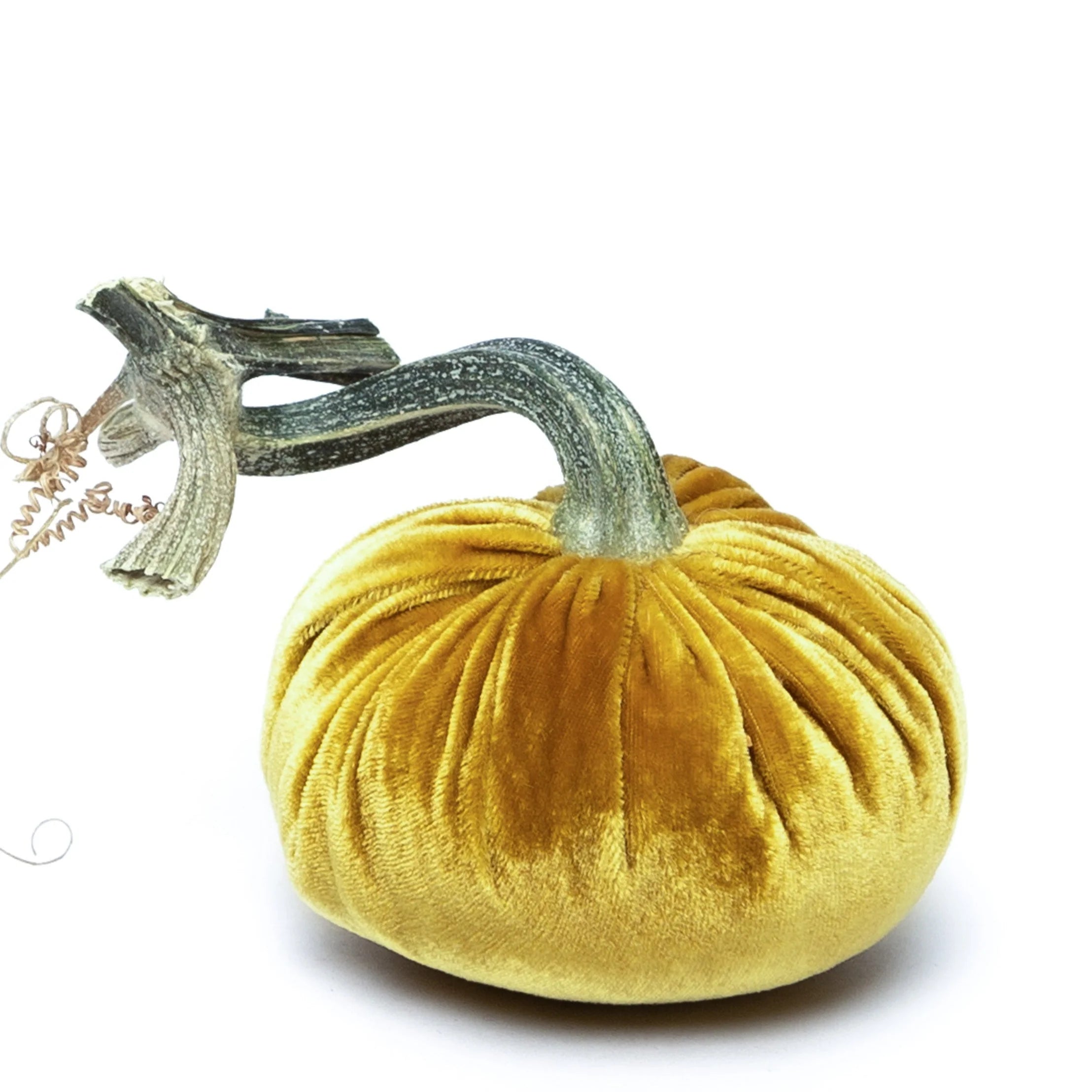 Silk Velvet Pumpkin