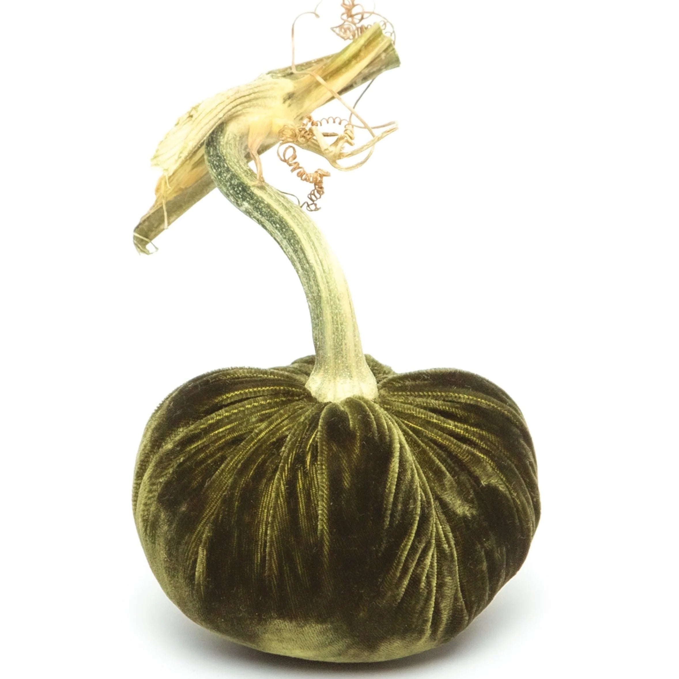 Silk Velvet Pumpkin