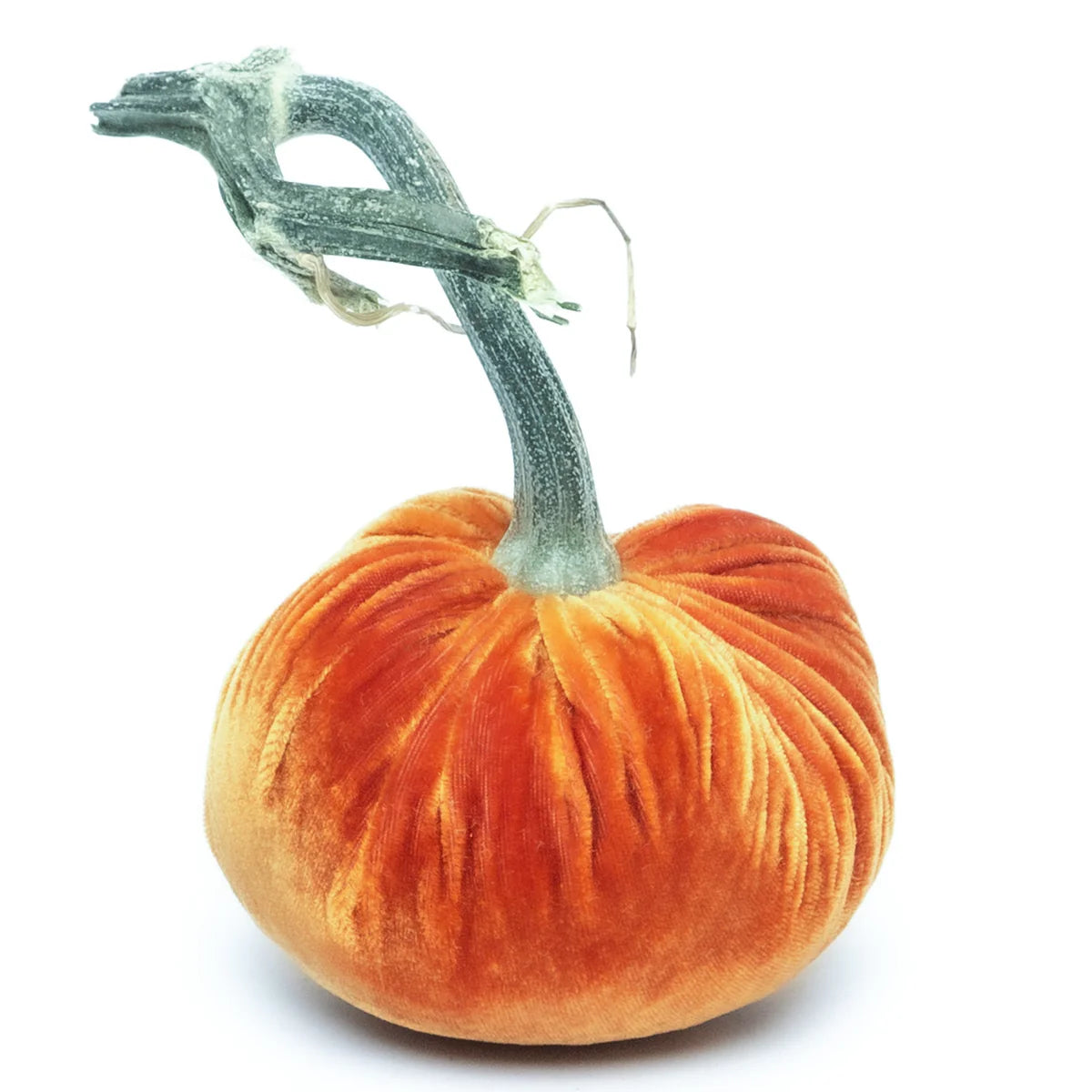 Silk Velvet Pumpkin