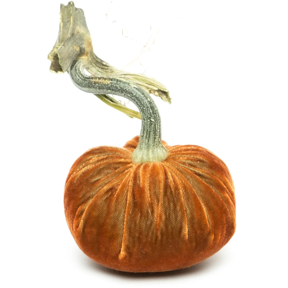 Silk Velvet Pumpkin