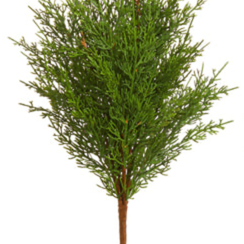 19" Cedar Greenery Pick