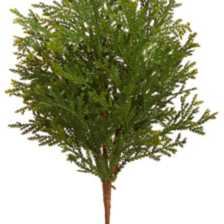 19" Cedar Greenery Pick