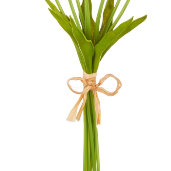 15" Tulip Bundle (Multiple Colors)