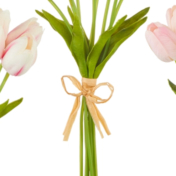 15" Tulip Bundle (Multiple Colors)