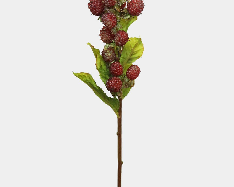 Red Raspberry Stem Artificial Red Raspberry Stem 16.5