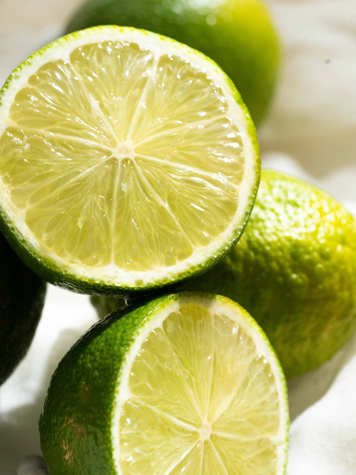 Studio McGee Bergamot Car Refill
