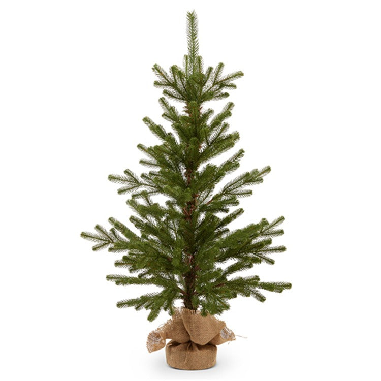 36" Noble Fir Tree in Burlap Bag